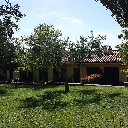 Agriturismo La Vite E Gli Ulivi Villa Ariccia Dış mekan fotoğraf