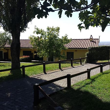 Agriturismo La Vite E Gli Ulivi Villa Ariccia Dış mekan fotoğraf