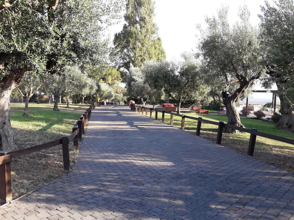 Agriturismo La Vite E Gli Ulivi Villa Ariccia Dış mekan fotoğraf