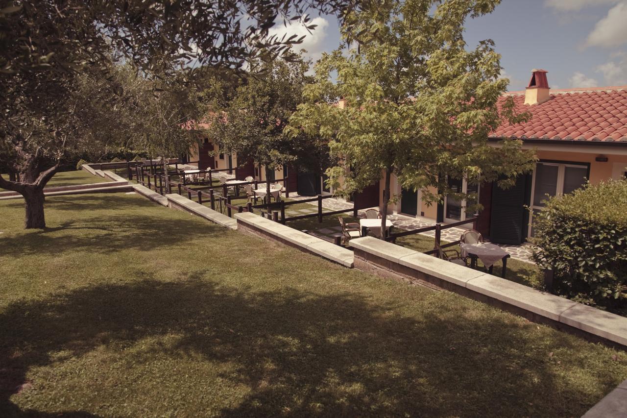 Agriturismo La Vite E Gli Ulivi Villa Ariccia Dış mekan fotoğraf