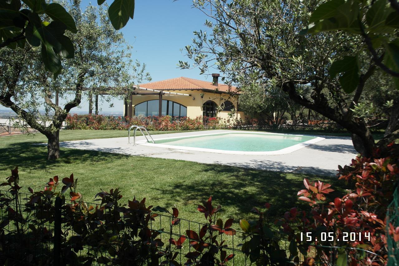 Agriturismo La Vite E Gli Ulivi Villa Ariccia Dış mekan fotoğraf
