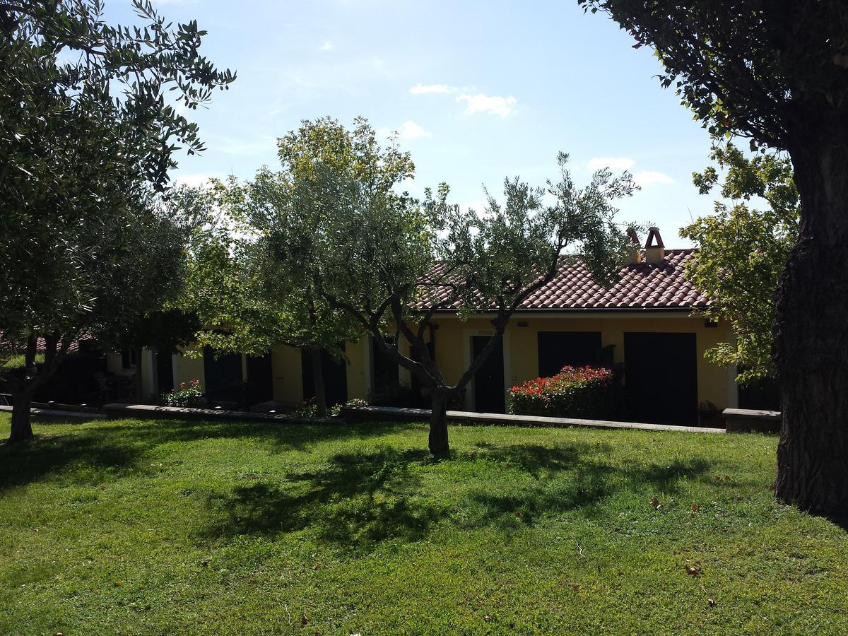 Agriturismo La Vite E Gli Ulivi Villa Ariccia Dış mekan fotoğraf