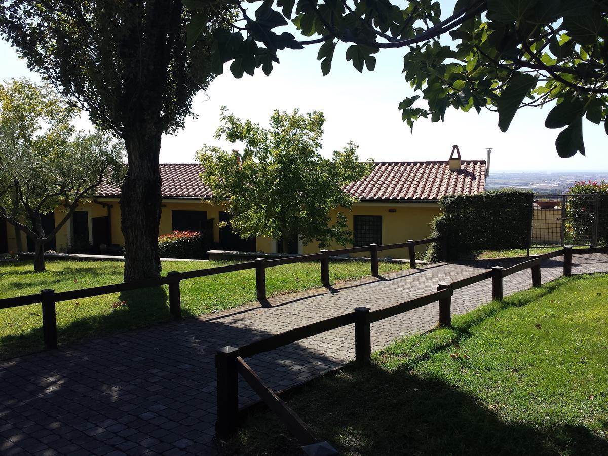 Agriturismo La Vite E Gli Ulivi Villa Ariccia Dış mekan fotoğraf